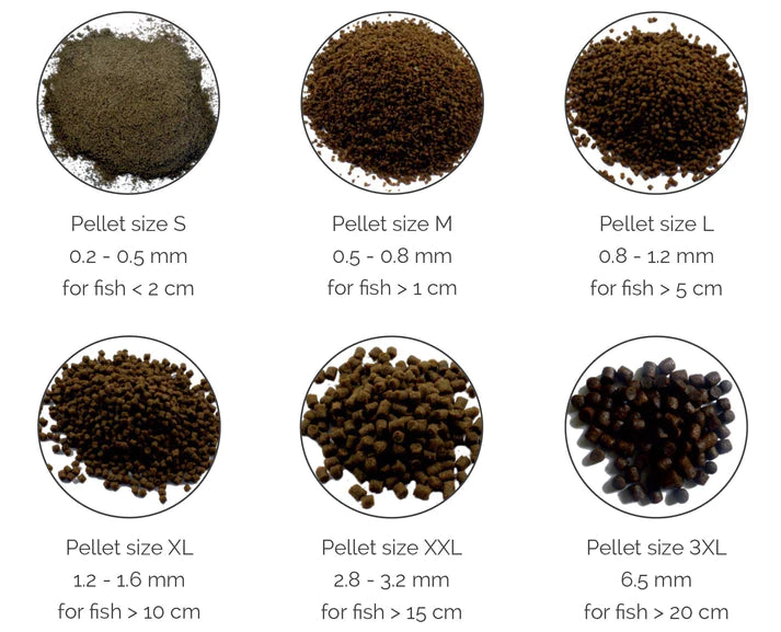 BIOFISH FOOD HERBAL