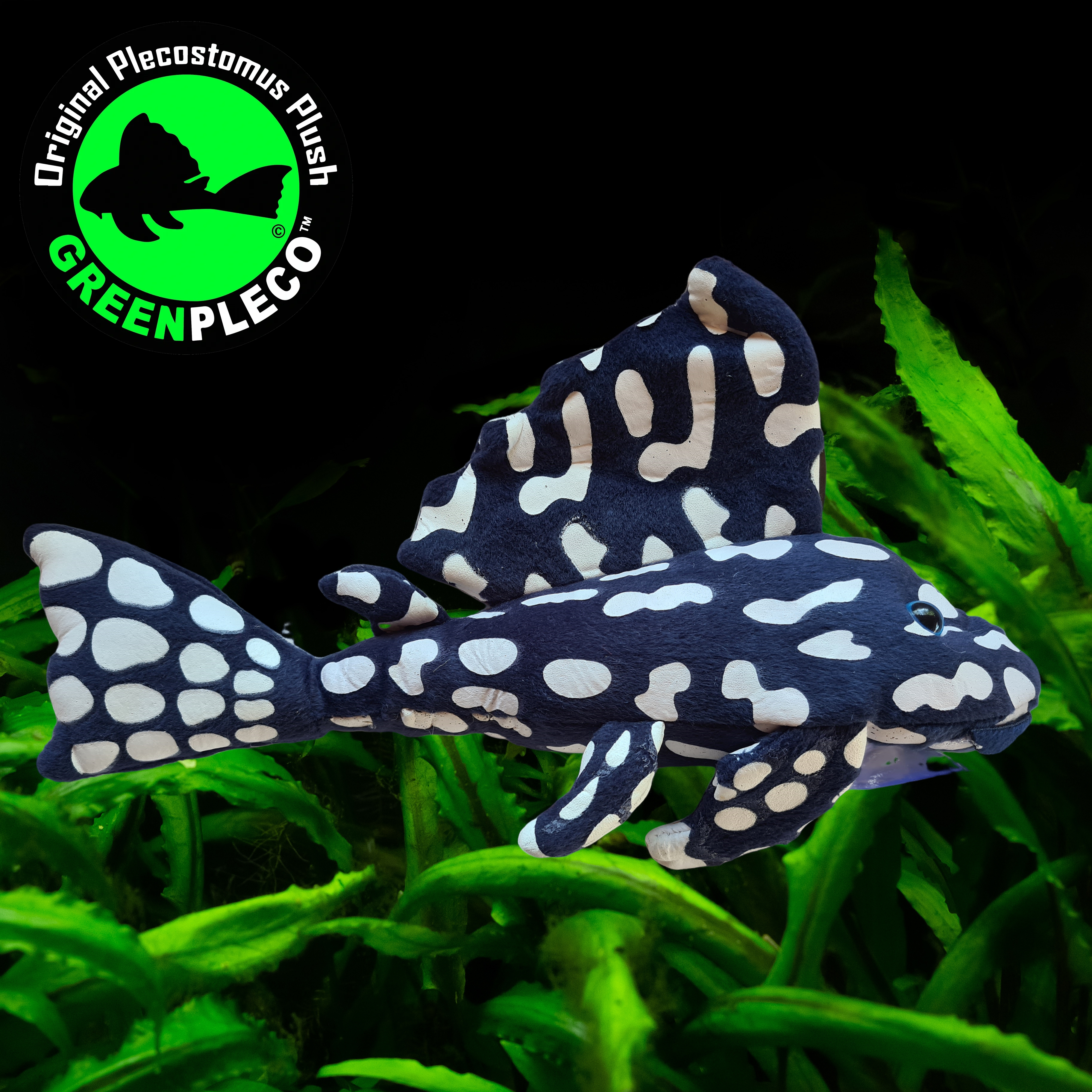 30cm Sapphire Pleco Plushie FishBits
