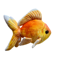 24cm Goldfish Plushie
