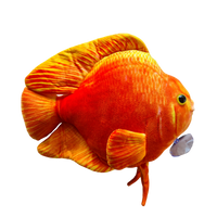 30cm Blood Parrot Plushie