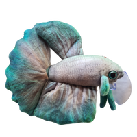 17cm Jade Mist Betta/Siamese Fighting Fish Plushie