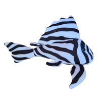 25cm Zebra Pleco Plushie