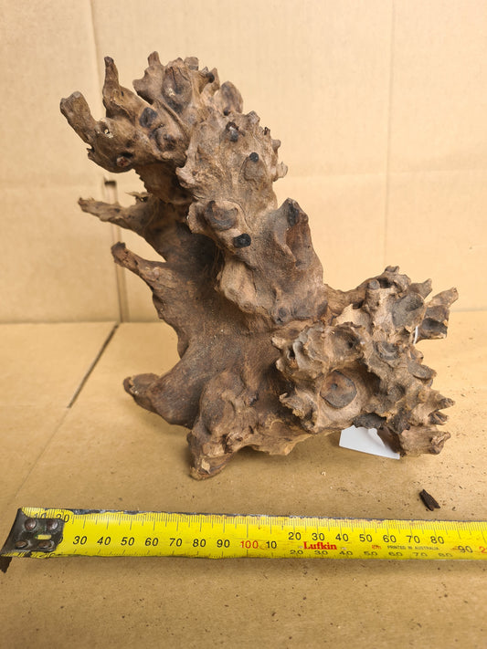 DALUA Coral Wood Medium Piece