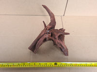 Aqua Natural Mekong Driftwood Medium Piece