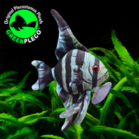 13cm x 22cm Blue Zebra Angelfish Plushie