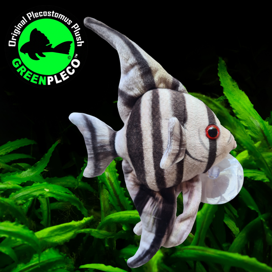 13cm x 22cm Zebra Angelfish Plushie