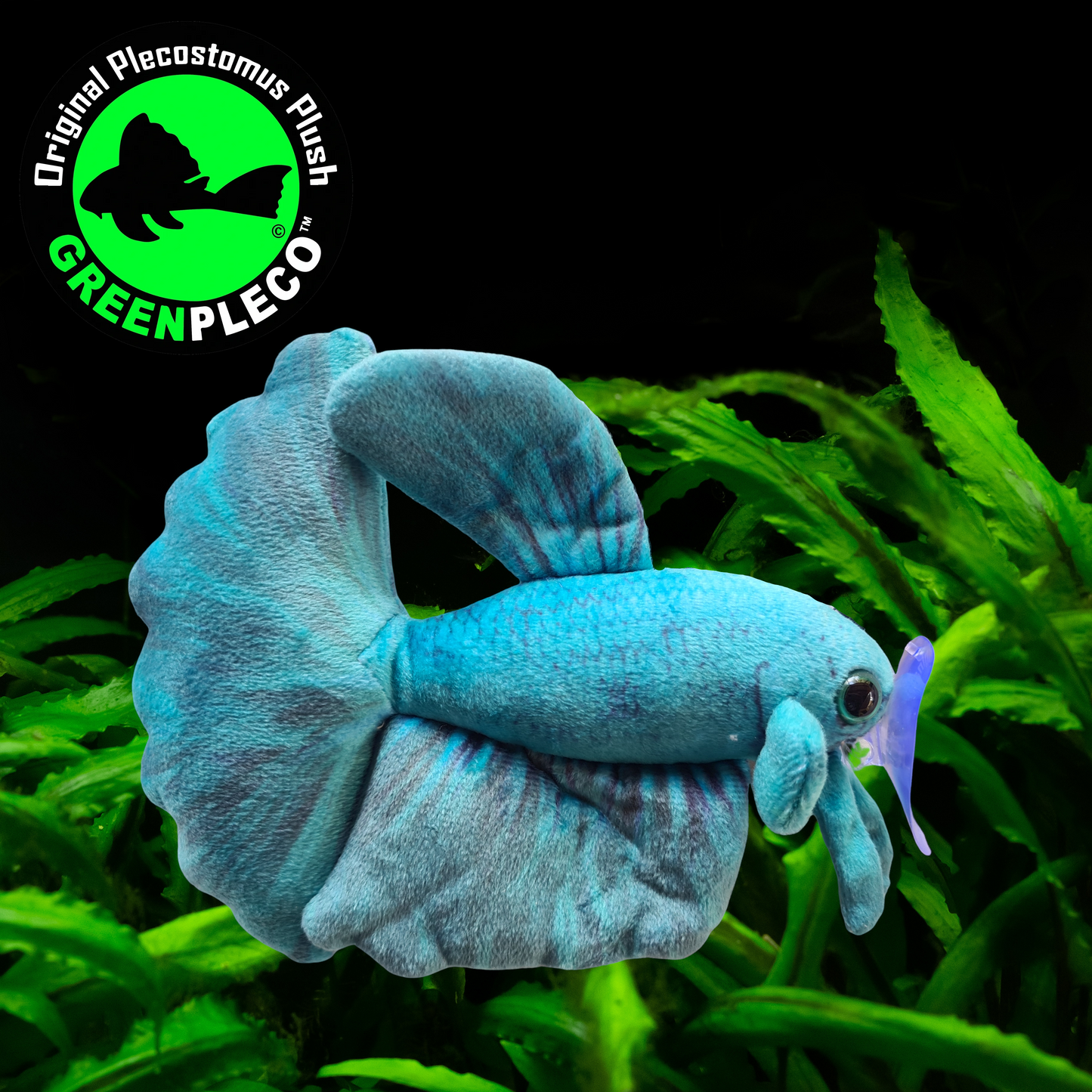 17cm Akua Betta/Siamese Fighting Fish Plushie