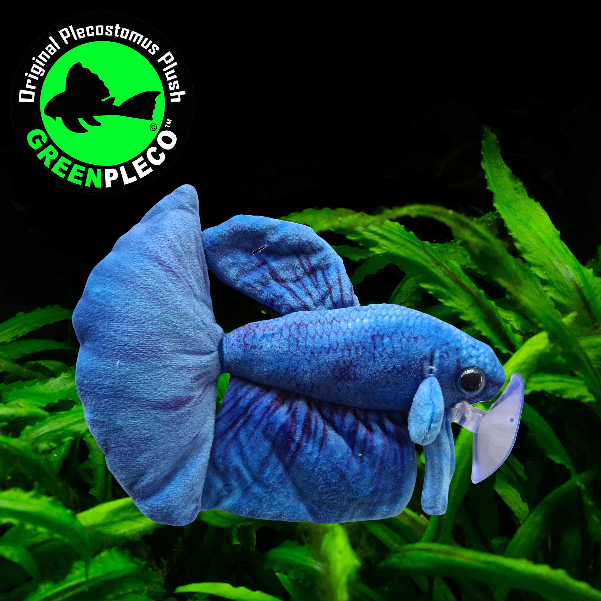 Dr sales bassleer betta