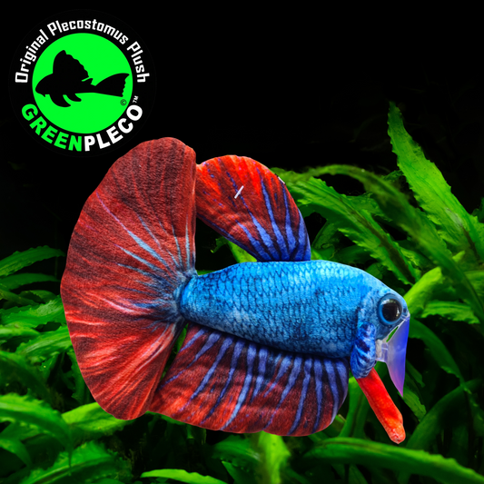 17cm Blue and Red Betta/Siamese Fighting Fish Plushie