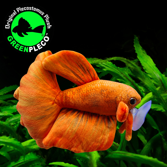 17cm Oranje Betta/Siamese Fighting Fish Plushie