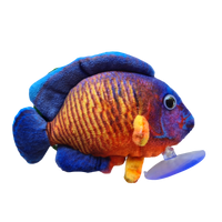 14cm Coral Beauty Marine Plushie