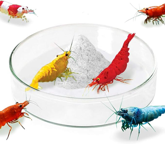 Shrimp Glass Feeding Dish (2 sizes)