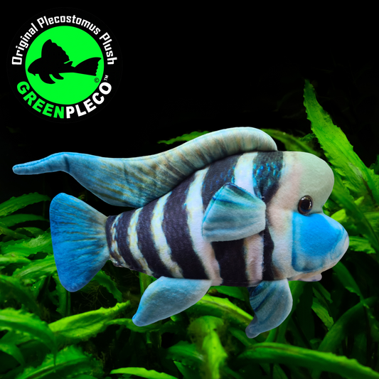 27cm Frontosa Cichlid Plushie