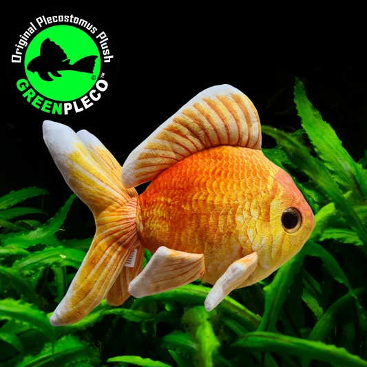 24cm Goldfish Plushie