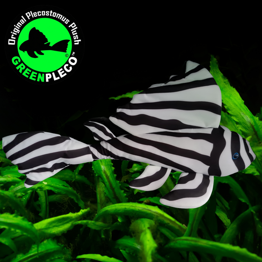 'EXTINCT' 60cm JUMBO Zebra Pleco GLOW IN THE DARK Plushie (last ones left)