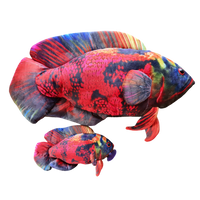 30cm or JUMBO 66cm Volcano Oscar Cichlid Plushie