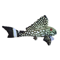 30cm Watermelon Pleco Plushie