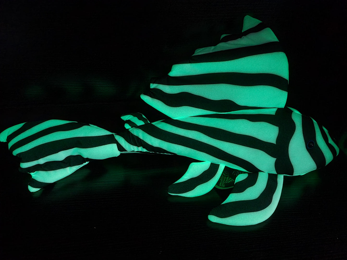 'EXTINCT' 60cm JUMBO Zebra Pleco GLOW IN THE DARK Plushie (last ones left)