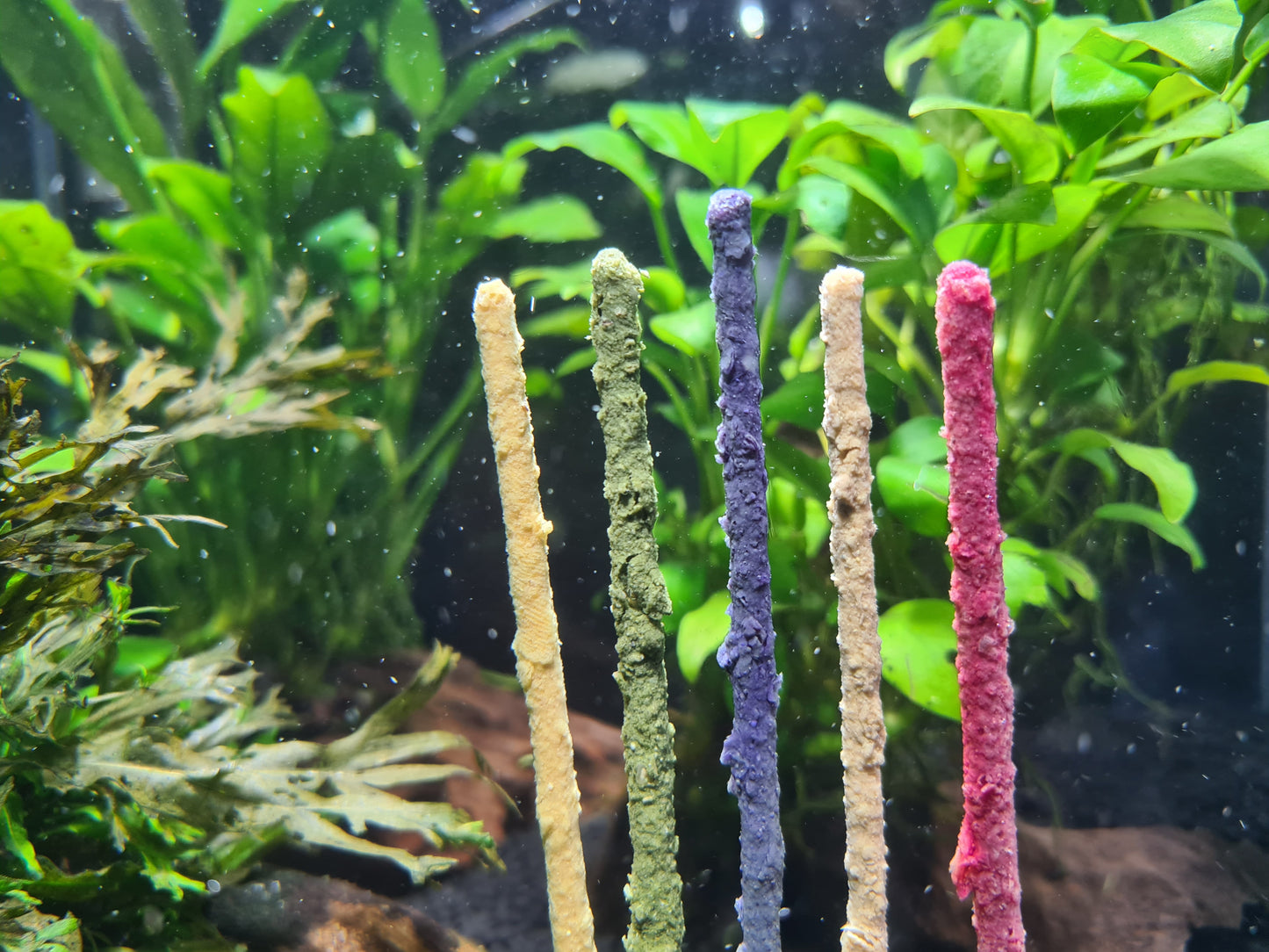 SAS Shrimp Pops (5 Flavours) 15cm