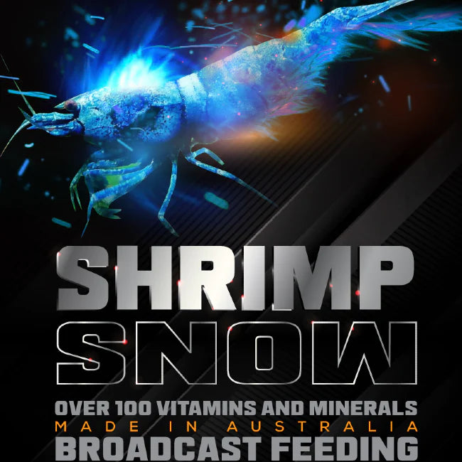 SAS Shrimp Snow