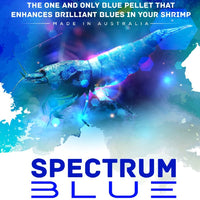 SAS Spectrum Blue 30g