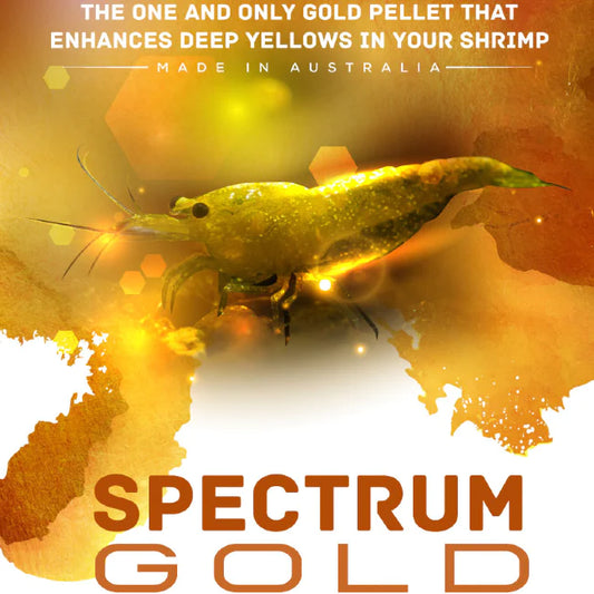 SAS Spectrum Gold 30g