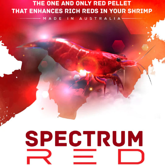 SAS Spectrum Red 30g
